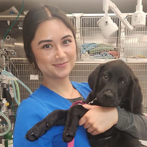 Alissa, Laguna Woods Veterinary Technician